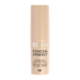 Conceal + Perfect Blur Out Skin Tint