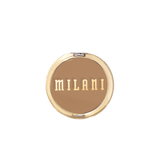 Conceal + Perfect Shine-Proof Powder