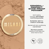 Conceal + Perfect Shine-Proof Powder